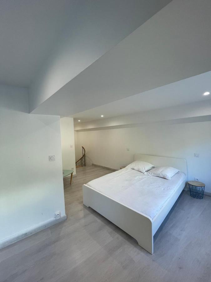 里昂Loft Ravissant A 5 Mn De La Basilique Notre Dame De Fourviere公寓 外观 照片